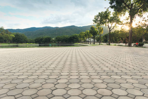 Best Driveway Drainage Solutions in Lake Forest, IL